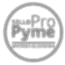 My Pyme Pro
