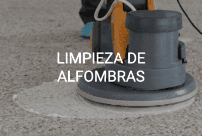 servicio limpieza alfombras