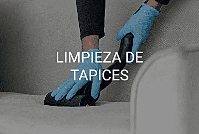 servicio limpieza tapices